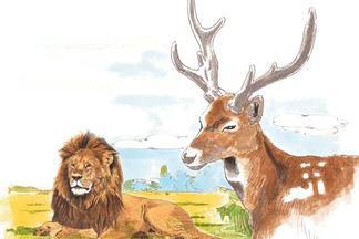 鹿和狮子的故事