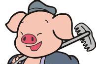 猪八戒吃人参果的故事