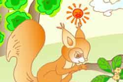 小松鼠找花生的故事