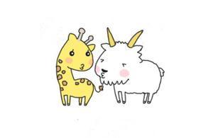 长颈鹿和小羊的故事