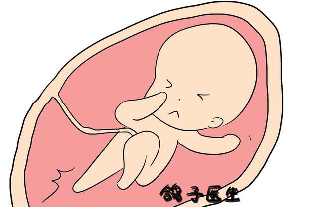 不是所有的胎动都是宝宝在和你互动
