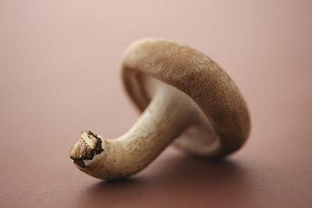 妊娠糖尿病能吃香菇吗