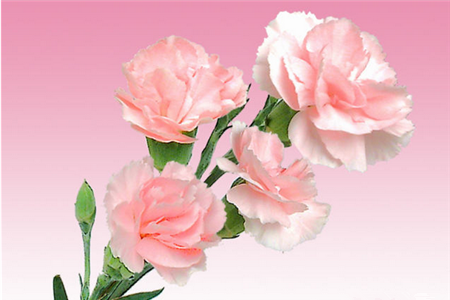 2016春节给孩子的祝福语大全