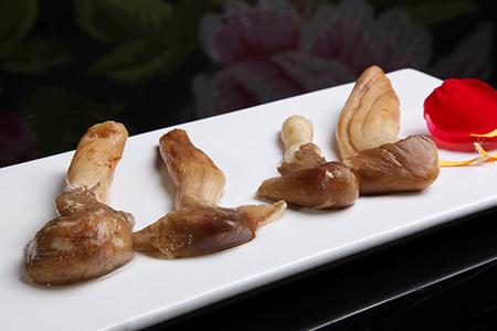 哺乳期可以吃松茸吗