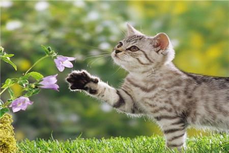 被鞭炮炸伤的孩子怎么处理 春节小孩不小心炸伤如何急救？