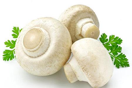 口蘑的营养价值与功效