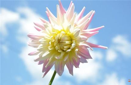 孩子怕困难怎么办 让孩子克服困难的方法