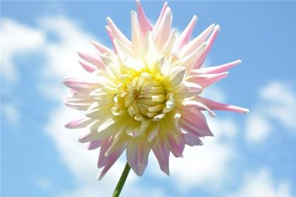 孩子怕困难怎么办 让孩子克服困难的方法