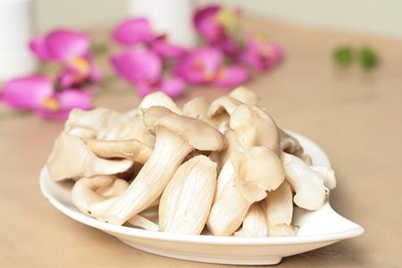 平菇长白毛了还能吃吗