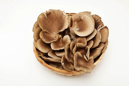 人流后可以吃平菇吗