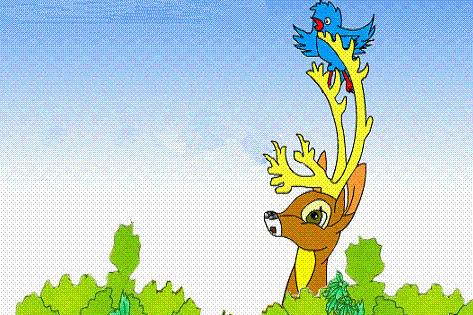 小鸟和小驯鹿的故事