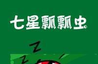 爱吹牛的七星瓢虫故事