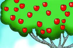 四只毛毛虫的故事