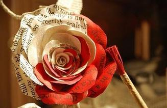 白玫瑰和红玫瑰的故事
