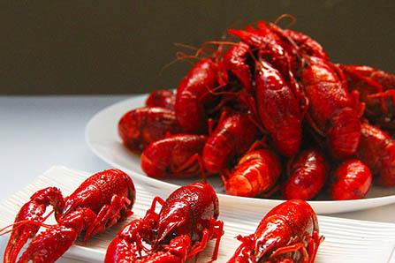 大象和小象的故事