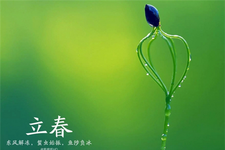 立春小孩能剪毛头吗？