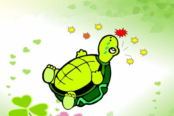 小乌龟上幼儿园的故事