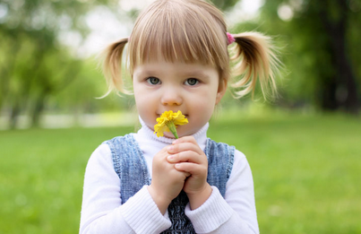 婴儿闻百合花会过敏吗？