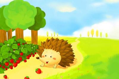 小刺猬的故事