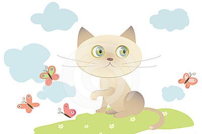 猫和蝴蝶的故事