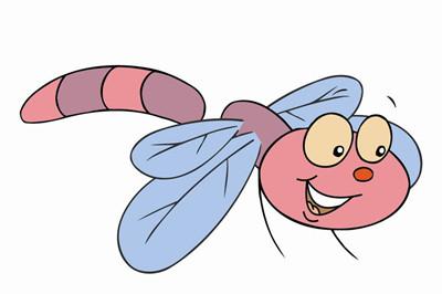 蜻蜓和蜘蛛的故事