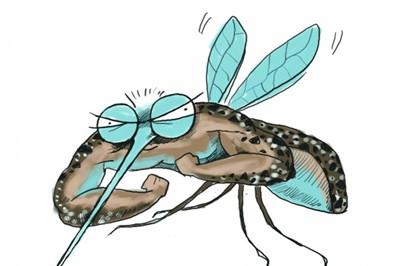 蚊子和蜘蛛的故事