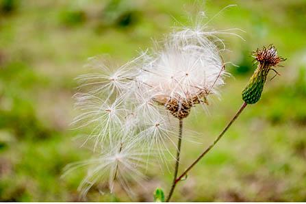 最完整详细的孕期产检时间与项目，果断收藏!