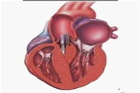 围产期心肌病能活多久
