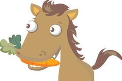 螳螂与小马的故事