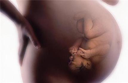 怀孕21周胎动怎么才算正常