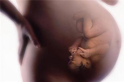 怀孕21周胎动怎么才算正常