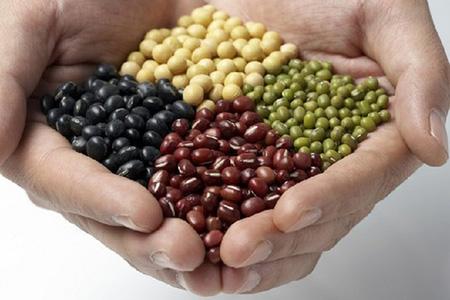 孕妇高血糖能吃豆类吗