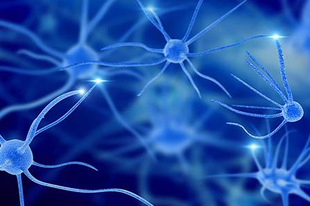 宝宝耳温比额温高是为什么