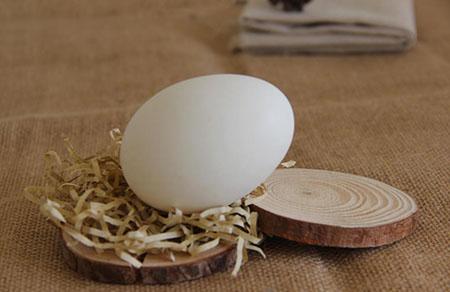 孕妇血糖高能吃鹅蛋吗