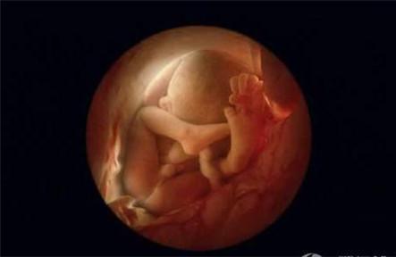 怀孕22周胎儿发育情况