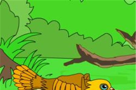 小鹰和小麻雀的故事