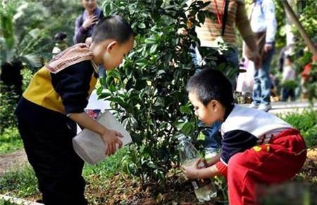 2016年社区植树节亲子活动方案