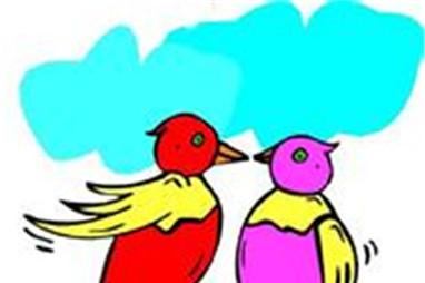 乌鸦与喜鹊的故事