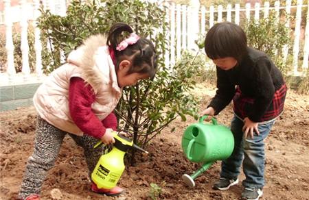 幼儿园户外植树节活动方案