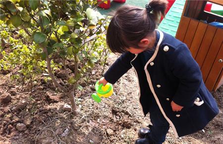 幼儿园植树节歌曲集锦