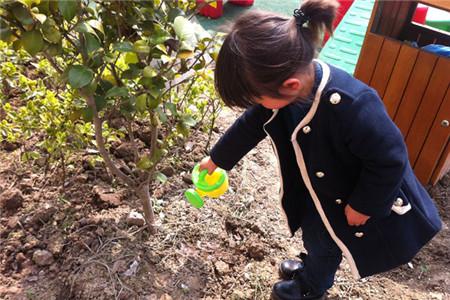 幼儿园植树节歌曲集锦