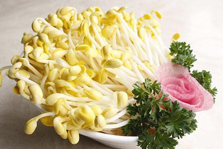 孕妇血糖高能吃豆芽吗