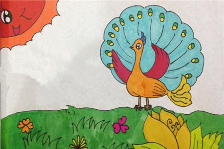 骄傲的孔雀的故事