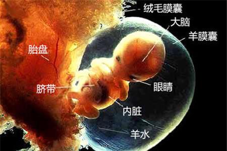 怀孕23周羊水多少正常