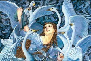 六只天鹅的故事