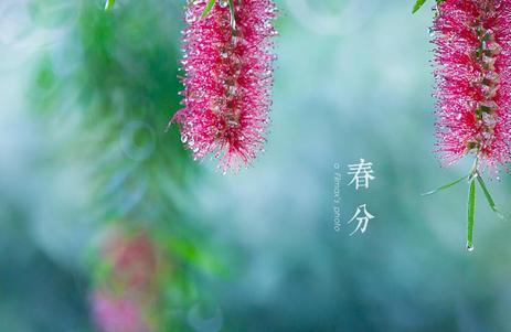 关于春分的谚语