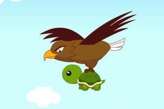 乌龟和老鹰的故事