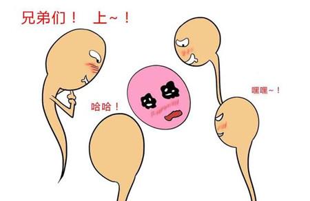 想要“小蝌蚪”变成“青蛙”，一定要掌握好方法!