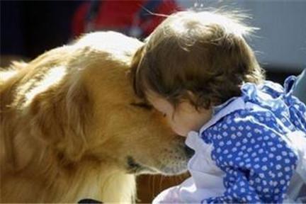 家里小孩子适合养什么狗？挑选合适的狗狗和孩子共同成长