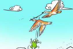 大雁和青蛙的故事